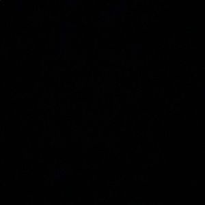 Meet your Posher, Shantae